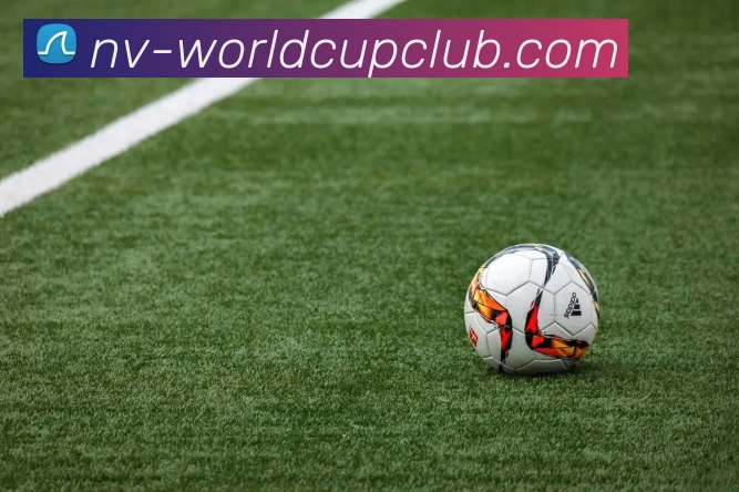 世俱杯投注官网服务体系